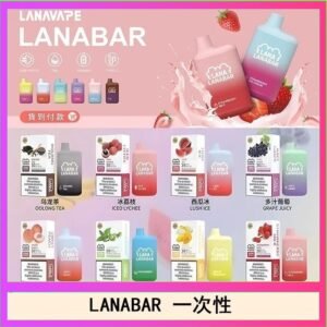 LANA BAR可充电一次性電子煙霧化5000口(3.0%)